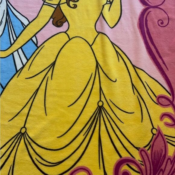 Disney Princess Cinderella and Belle Micro Raschel Twin Blanket; 62" x 90" - Picture 10 of 14